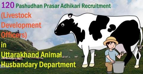 Pashudhan Prasar Adhikari or Livestock Development Officers Vacancy in Uttarakhand Animal Husbandary Department