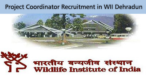 Project Coordinator Recruitment in WII Dehradun
