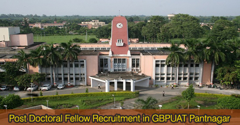 Post Doctoral Fellow Recruitment in GBPUAT Pantnagar
