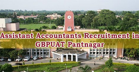 Assistant Accountants Recruitment in GBPUAT Pantnagar 