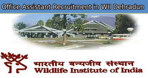 Office Assistant Recruitment in WII Dehradun