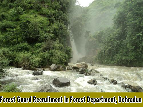 Forest Guard Recruitment in Forest Department, Dehradun 