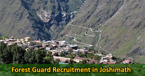 Forest Guard Recruitment in Joshimath
