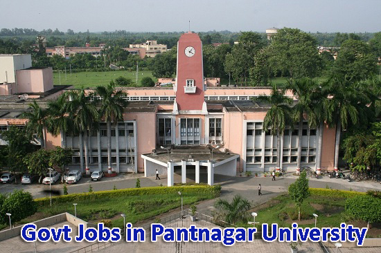 Sarkari Naukri in Pantnagar Universityi