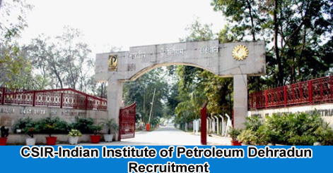 Scientists Recruitment in IIP Dehradun