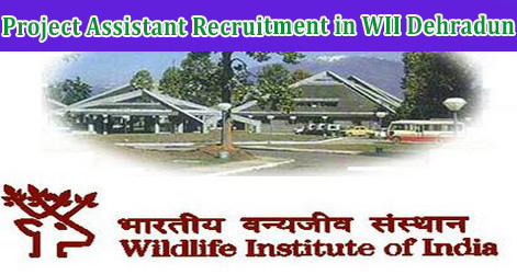 Project Assistant Recruitment in WII Dehradun 