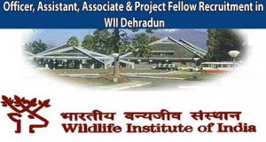 Officer, Assistant, Associate & Project Fellow Recruitment in WII Dehradun