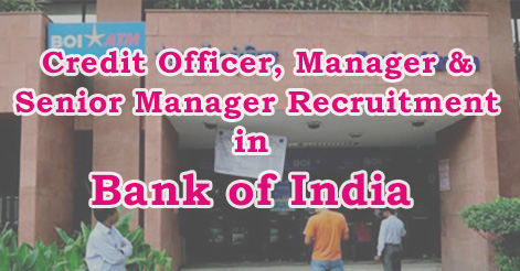 Credit Officer, Manager & Senior Manager Recruitment in Bank of India 