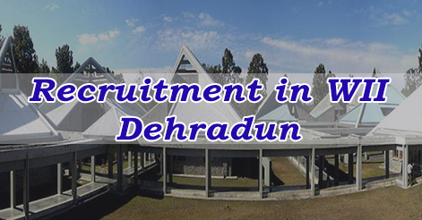 Project Biologist & Project Engineer Recruitment in WII Dehradun 
