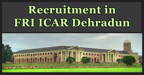 RA JRF SRF & Assistant Recruitment in FRI ICAR Dehradun 