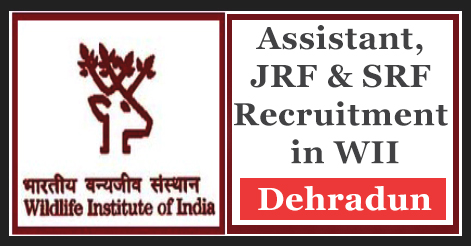 Assistant, JRF & SRF Recruitment in WII Dehradun