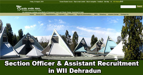 Section Officer & Assistant Recruitment in WII Dehradun