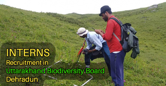 Interns Recruitment in Uttarakhand Biodiversity Board Dehradun