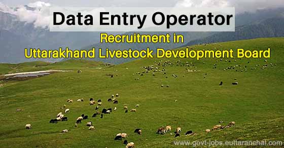 Data Entry Operator Recruitment in Livestock Development Board Uttarakhand ULDB
