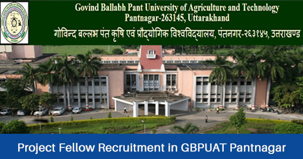 Project Fellow Recruitment in GBPUAT Pantnagar