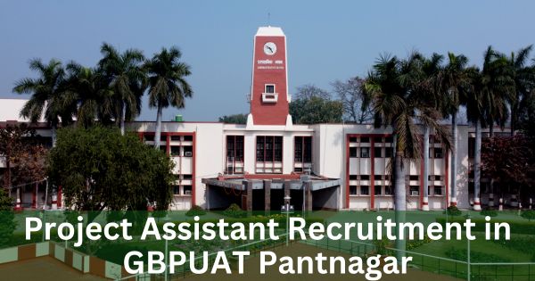 Project Assistant Recruitment In Gbpuat Pantnagar Govt Jobs 2023 