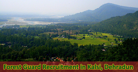 Forest Guard Recruitment in Kalsi, Dehradun