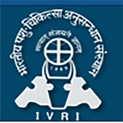 Senior Research Fellow Recruitment in IVRI Mukteswar
