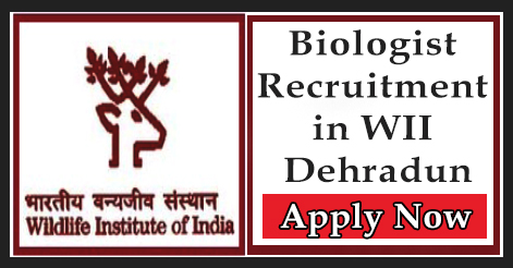 Biologist Recruitment in WII Dehradun