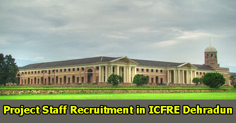 Project Staff Recruitment in ICFRE Dehradun